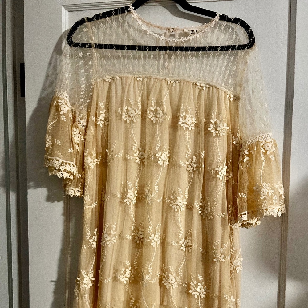 POL Lace Shift Dress (S)